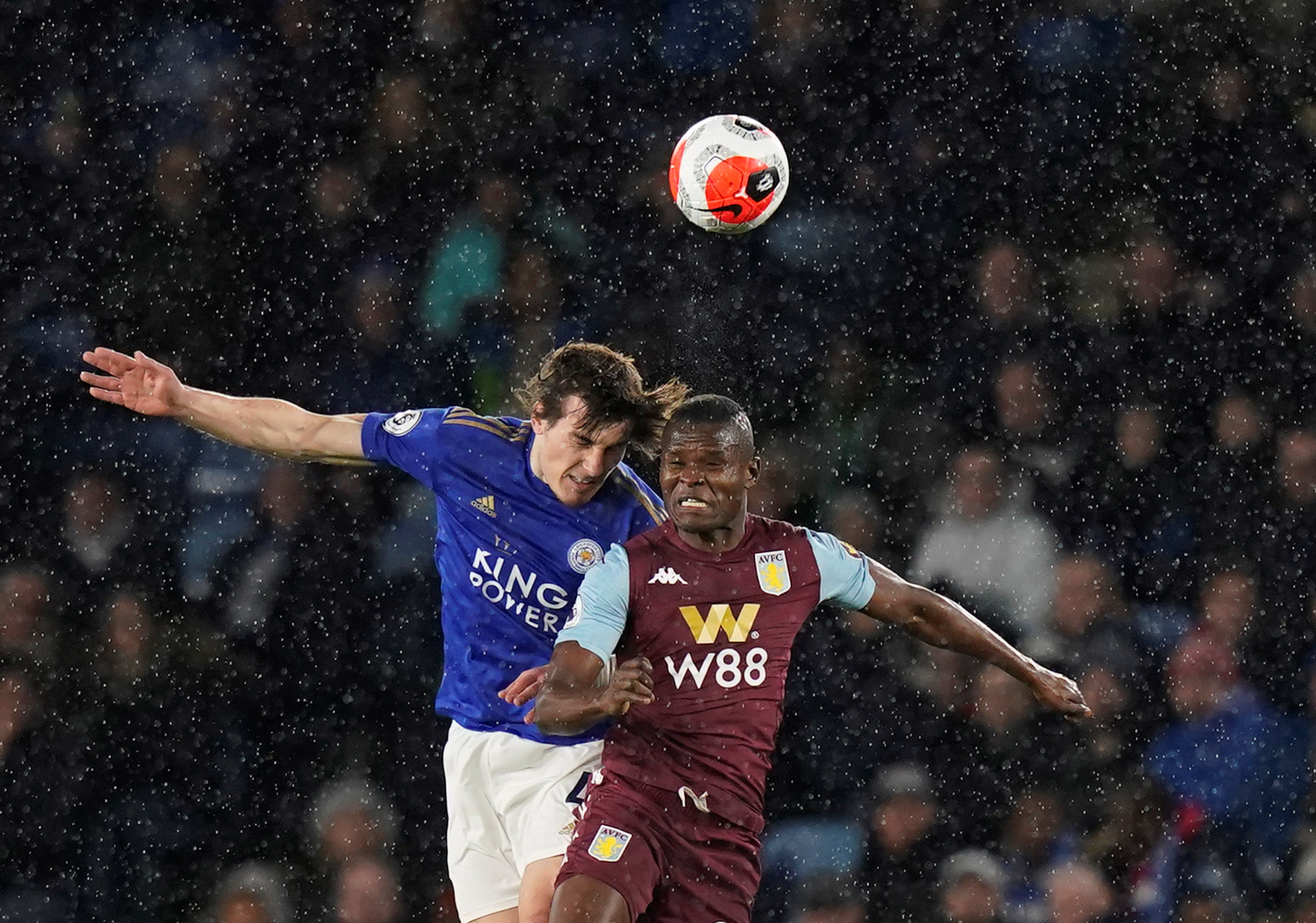 的关注只会 的关注只会